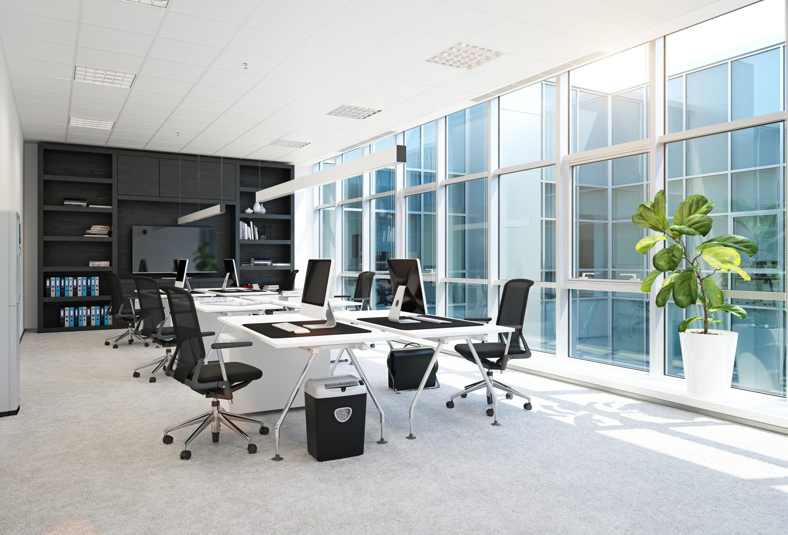 MOGROUP cleaning team at work