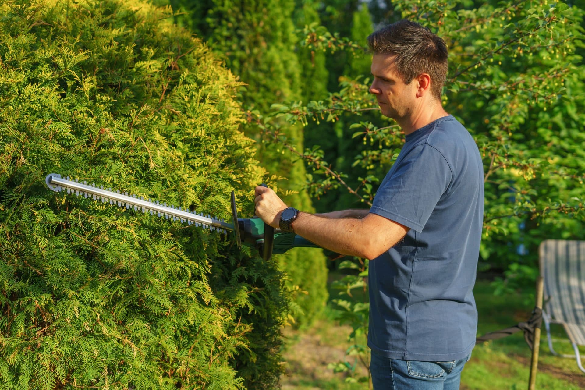 Hedge trimming during grounds maintenance